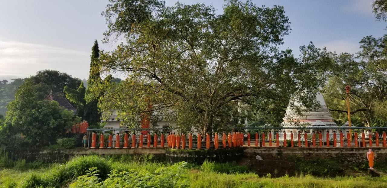Che'S Villa Kandy Bagian luar foto