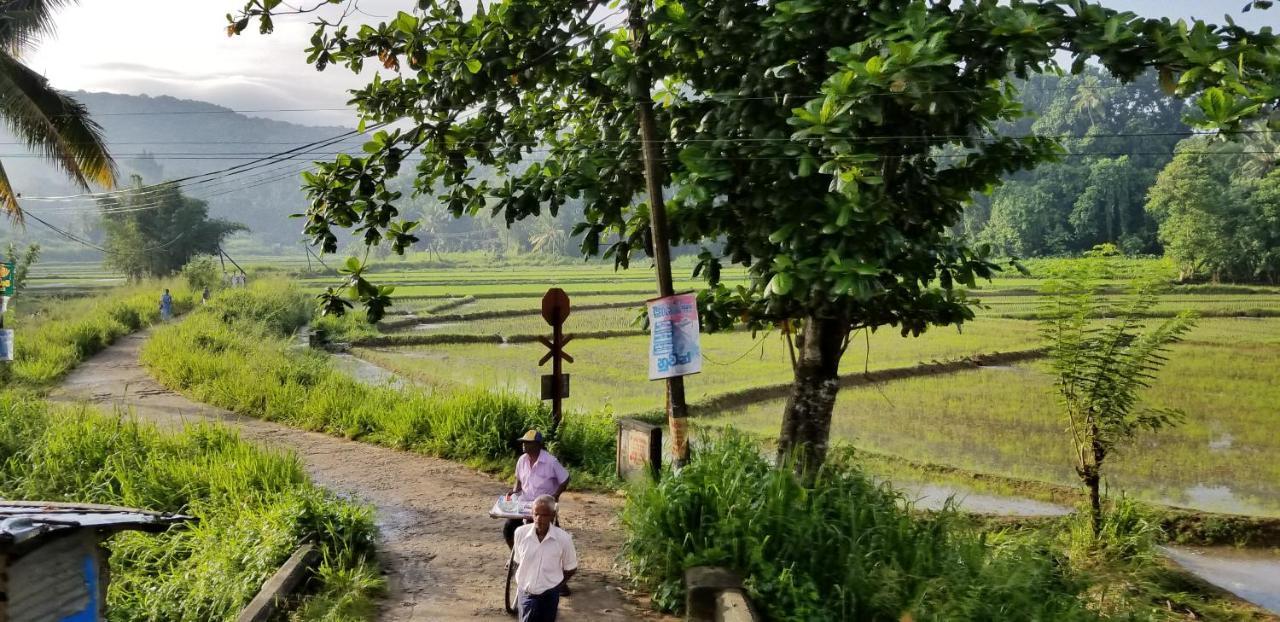 Che'S Villa Kandy Bagian luar foto
